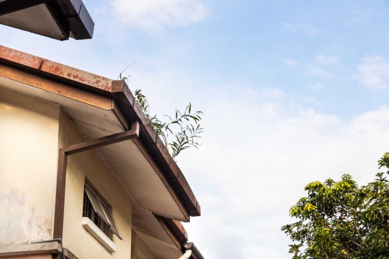 How Old Can a Roof Be Before Insurance Won&rsquo;t Cover It?