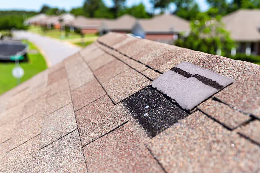 Close-up of a lifted roof shingle exposing the dark underlayment beneath.
