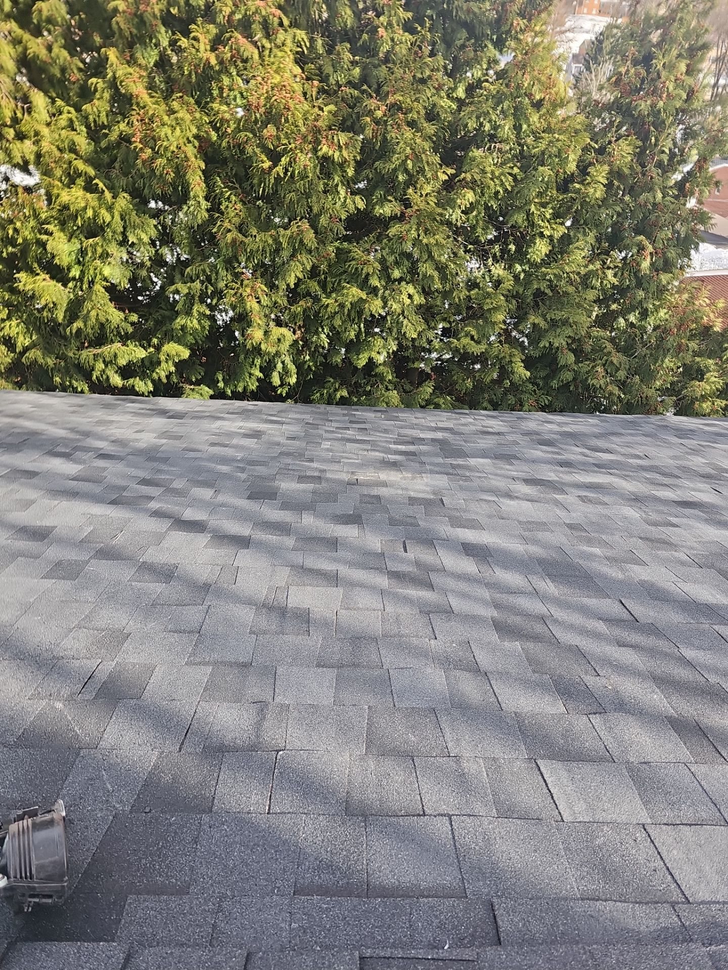 Finished gray shingle roof slope with evergreen trees behind in Pittsburgh, Alan Construction