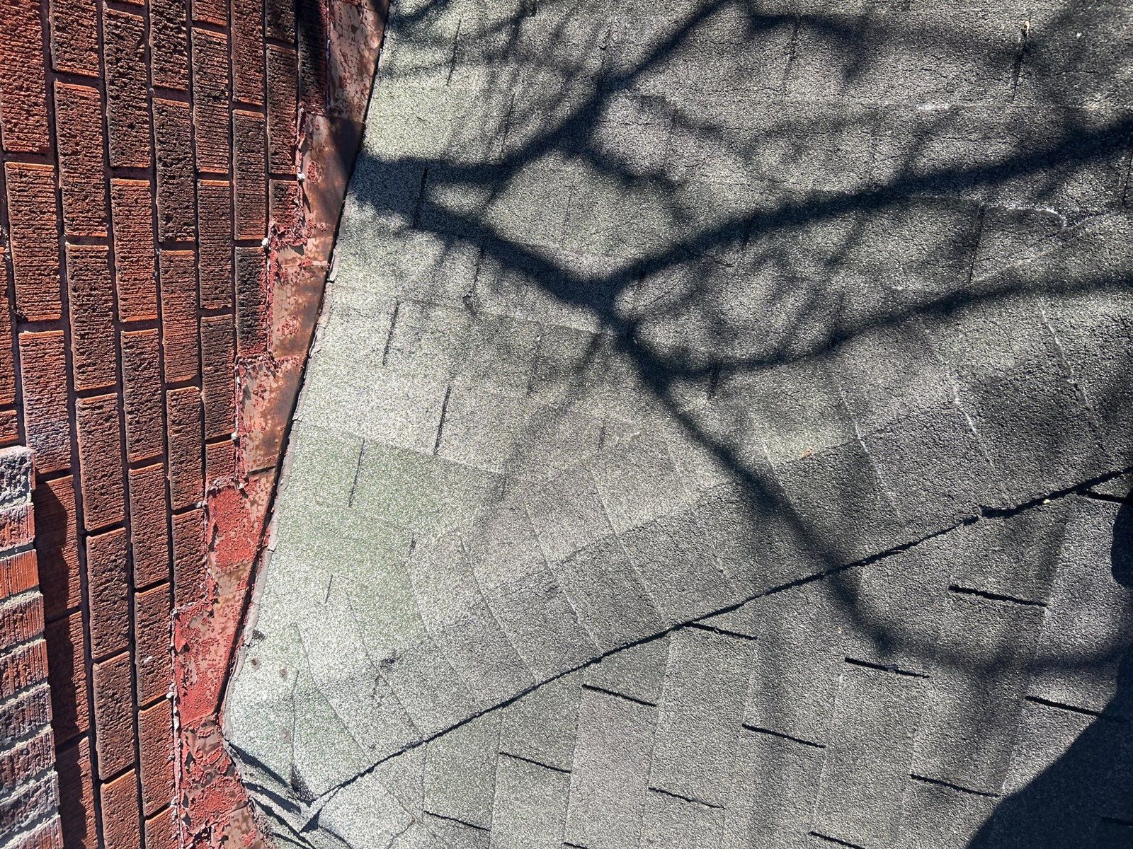 New gray shingles along a brick wall with tree shadows in Pittsburgh, Alan Construction