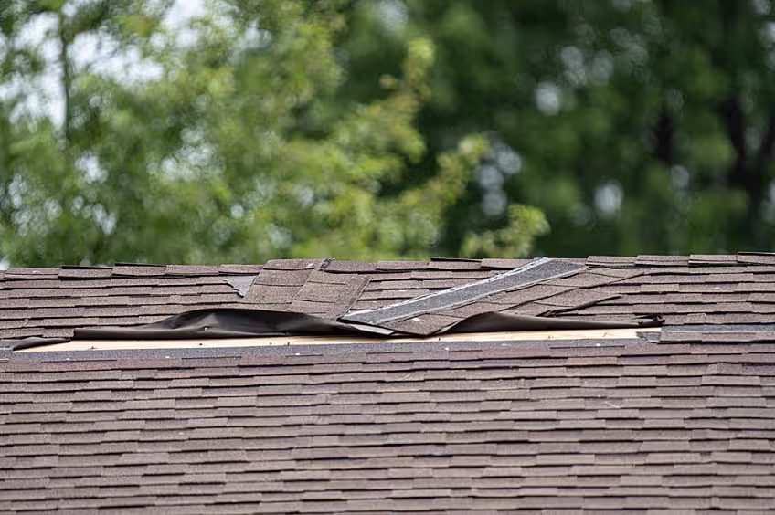 Lifted and torn shingles with loose underlayment exposed along a roofline after high winds