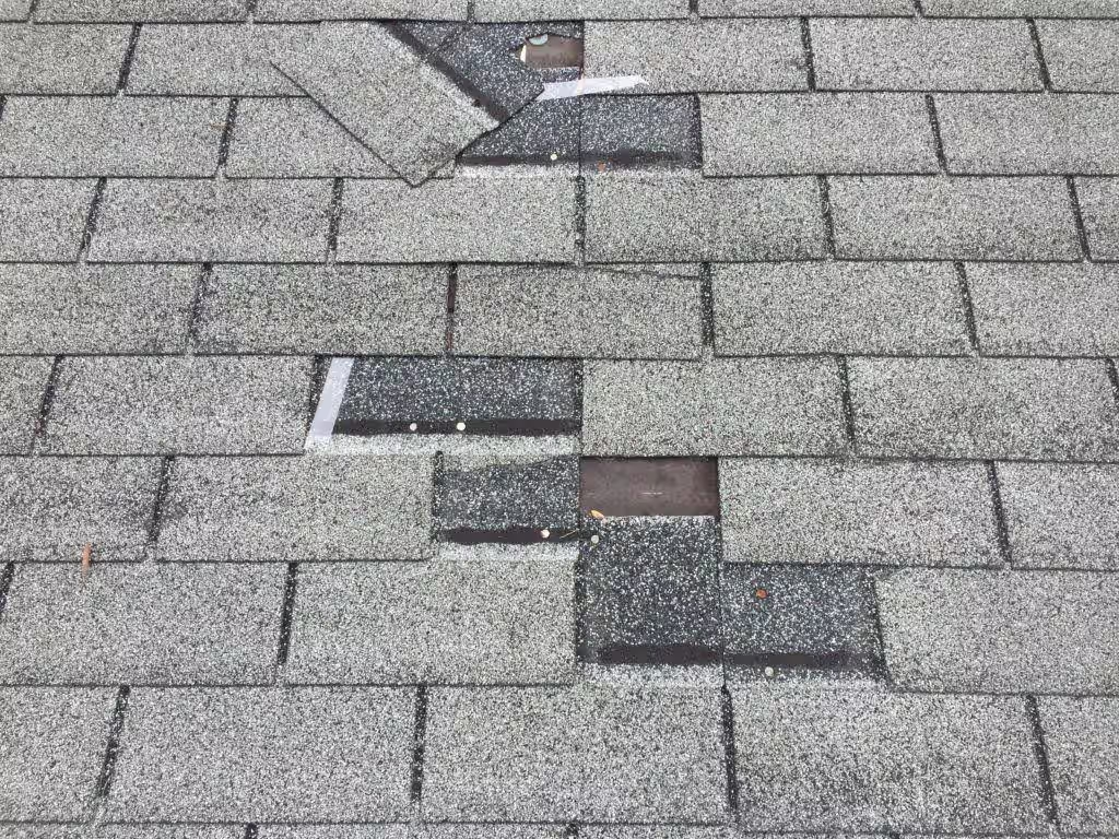 Missing gray three-tab shingles with exposed nail heads and one torn tab from roof wind damage